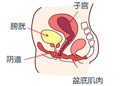 妈妈们！尿失禁，绝不是正常现象！
