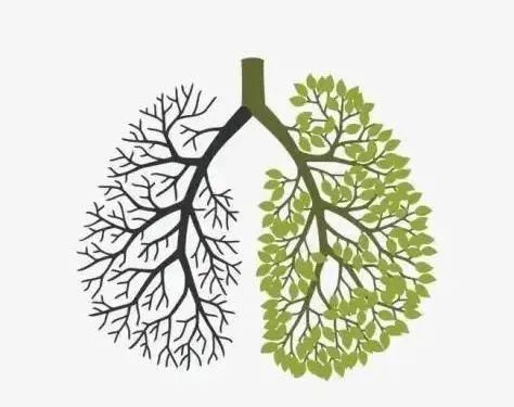 5·31世界无烟日 | 拒绝烟草 拥抱健康