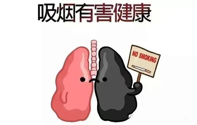 5·31世界无烟日 | 拒绝烟草 拥抱健康