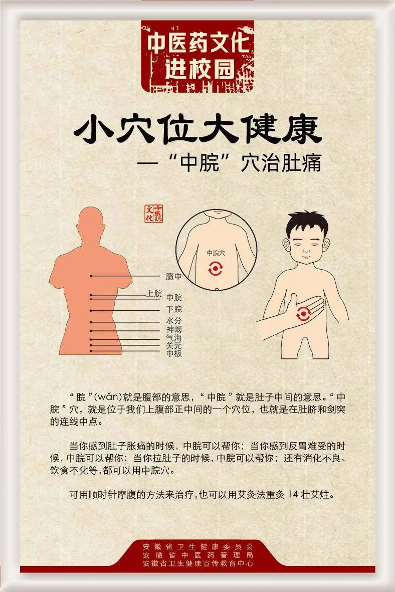 安徽中医药宣传周｜这些养生小知识你知道吗？